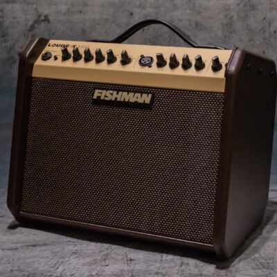 Fishman Loud Box 60w Acoustic Guitar Amplifier Grill