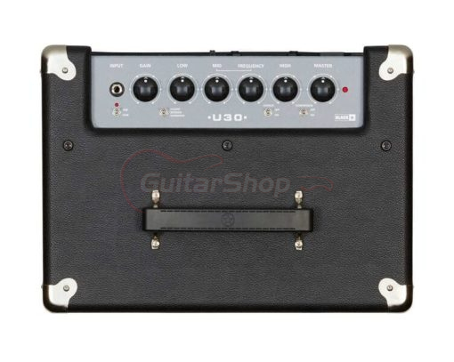 Blackstar Unity 30w Bass Combo - Image 2
