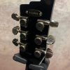 Duesenberg Starplayer TV Black Gold - Image 6
