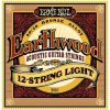 Ernie Ball Earthwood 2010 12 String Set