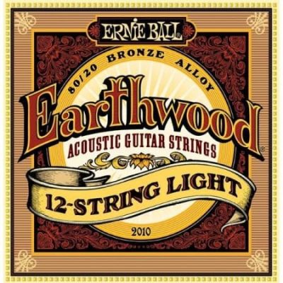 Ernie Ball Earthwood 2010 12 String Set