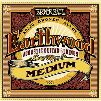 Ernie Ball Earthwood 80-20 Bronze Medium 13-56