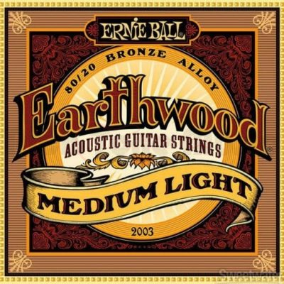 Ernie Ball Earthwood 80-20 Bronze Medium Light 12-54