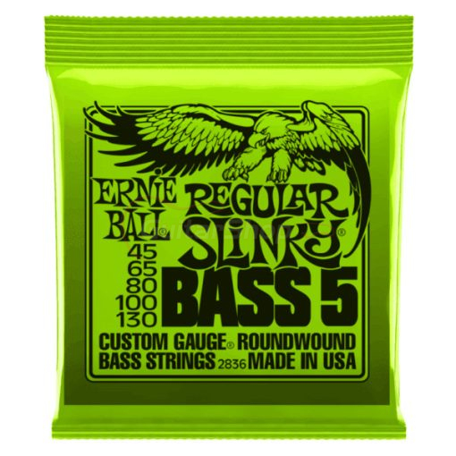 Ernie Ball Regular Slinky 5 String Bass Guitar Strings 45-130