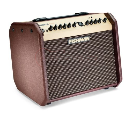 Fishman Loudbox Mini Acoustic Guitar Amplifier With Bluetooth - Image 3