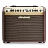Fishman Loudbox Mini Acoustic Guitar Amplifier With Bluetooth