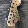 Jazzmaster by Guardian Guitars, handpainted by Ian Ward - Image 6