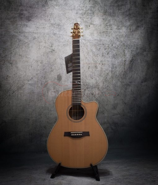 Seagull Artsit Mosaic CW Folk Element Electro Acoustic Guitar - Image 2