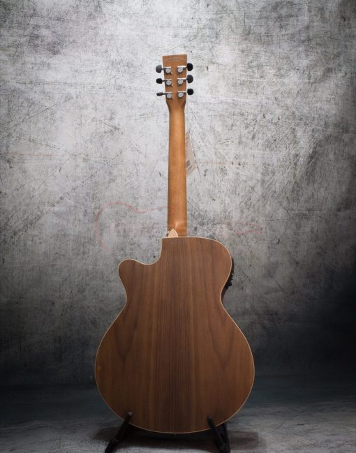 Tanglewood Discovery DBT SFCE PW - Image 3