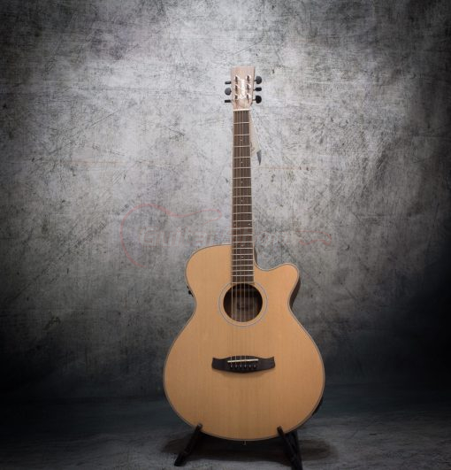 Tanglewood Discovery DBT SFCE PW - Image 2