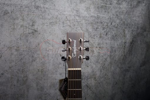 Tanglewood Electro Acoustic Travel Guitar TW2 TE - Image 5