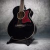 Tanglewood Winterleaf TW4 BK