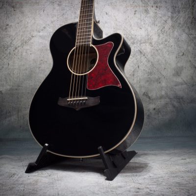 Tanglewood Winterleaf TW4 BK