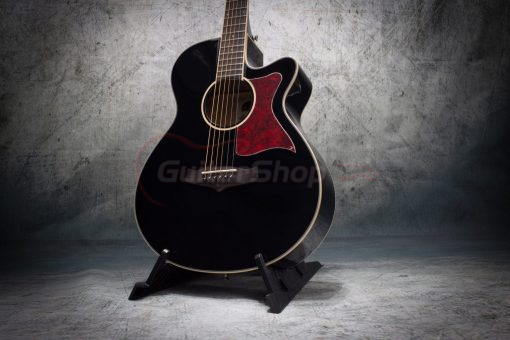Tanglewood Winterleaf TW4 BK