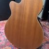 Tanglewood TSP 45 HB Electro Acoustic - Image 3