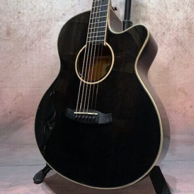 Tanglewood TW4 EBS Electro Acoustic Guitar