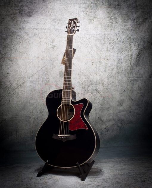 Tanglewood Winterleaf TW4 BK - Image 2