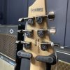 Cort KX300 Open Pore Tuners