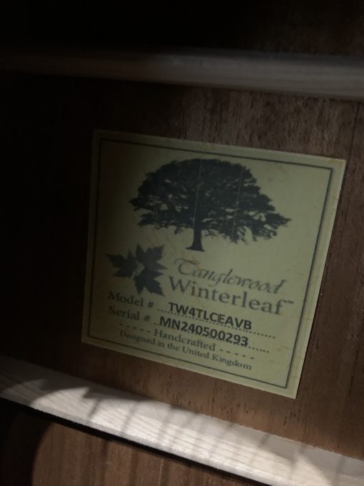 Tanglewood Winterleaf Electro Acoustic TW4TLCEAVB