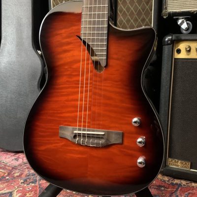 Tanglewood EMDC8CG Thinline Electro Nylon String-Cognac Gloss